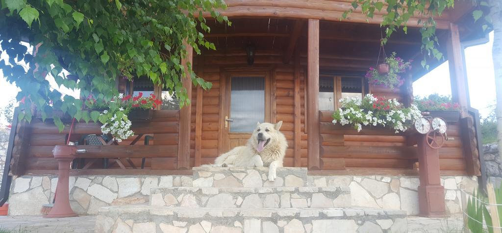 Holiday Home Zoric Nikšić Exteriér fotografie